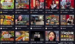 餐厅爆料视频大全最新版,一网打尽美食界风云